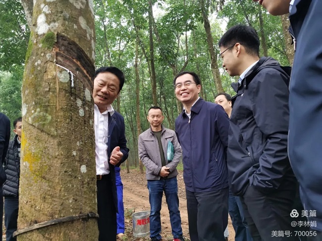 Stake(中国区)官方网站